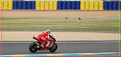 2008_MOTO_GP_015 [800x600]